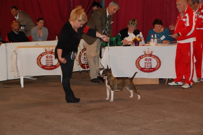 du Diamant Rouge - CACIB MONACO