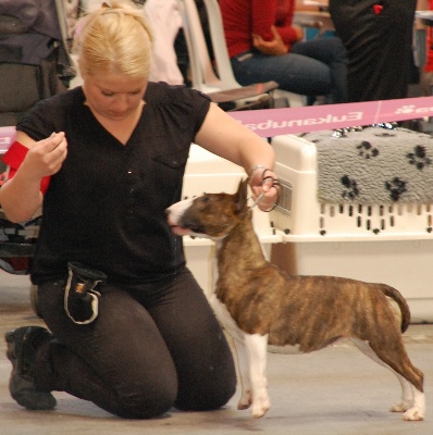 du Diamant Rouge - stasia RCACS et RCACIB au Championnat de france